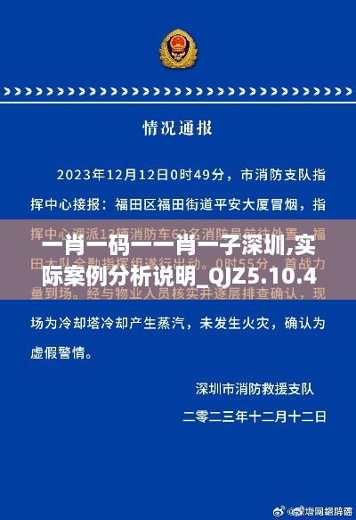 一肖一码一一肖一子深圳,实际案例分析说明_QJZ5.10.44薪火相传版