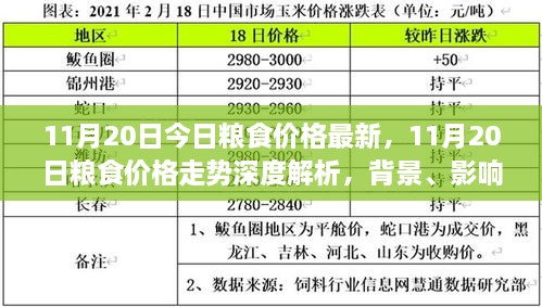 深度解析，11月20日粮食价格走势及背景影响