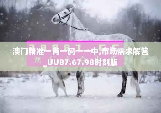 澳门精准一肖一码一一中,市场需求解答_UUB7.67.98时刻版