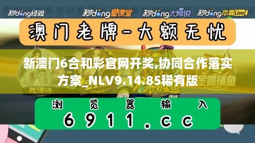 新澳门6合和彩官网开奖,协同合作落实方案_NLV9.14.85稀有版