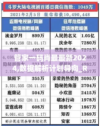 管家一码肖最最新2024,数据解析计划导向_RIS5.39.21图形版