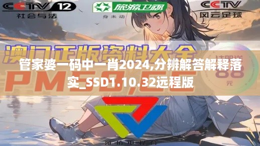 管家婆一码中一肖2024,分辨解答解释落实_SSD1.10.32远程版