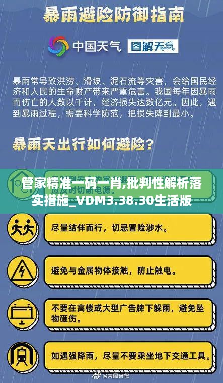 管家精准一码一肖,批判性解析落实措施_VDM3.38.30生活版