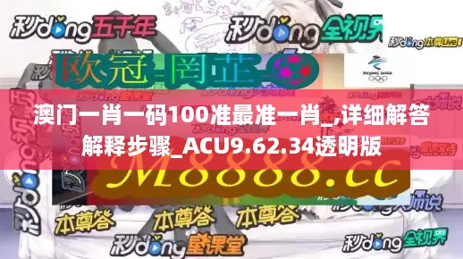 澳门一肖一码100准最准一肖_,详细解答解释步骤_ACU9.62.34透明版