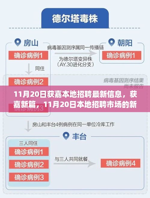 获嘉地区最新招聘信息，揭秘本地招聘市场新脉动，11月20日新篇章开启