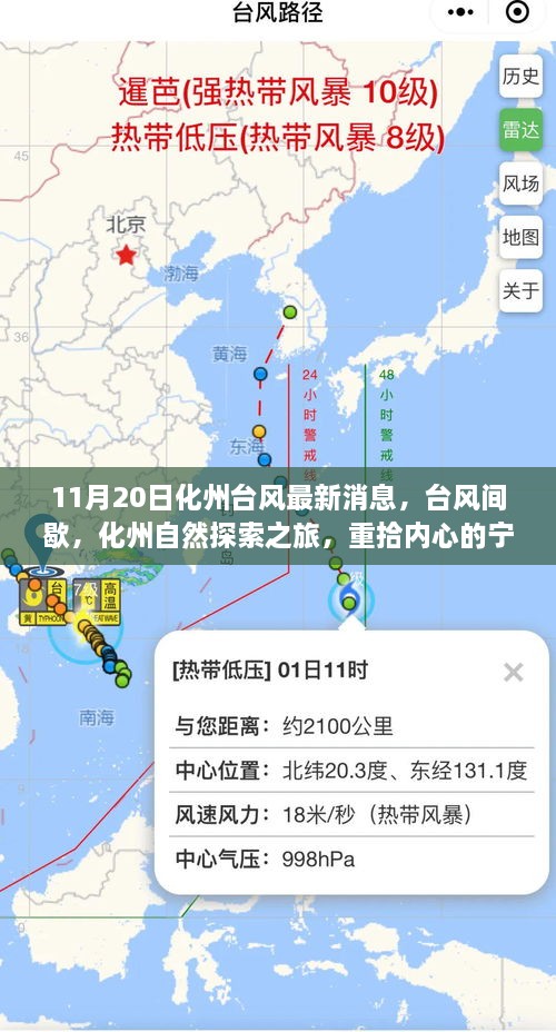 11月20日化州台风最新消息，台风间歇，化州自然探索之旅，重拾内心的宁静与微笑