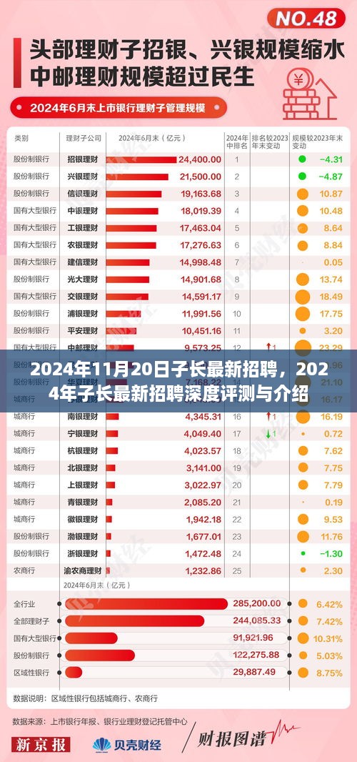 2024年子长最新招聘深度评测与介绍，寻找理想职位的指南