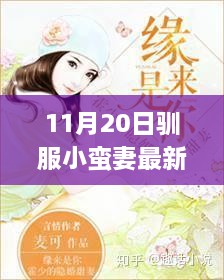 爱在暖阳下的驯服，小蛮妻的甜蜜日常 11月20日特辑