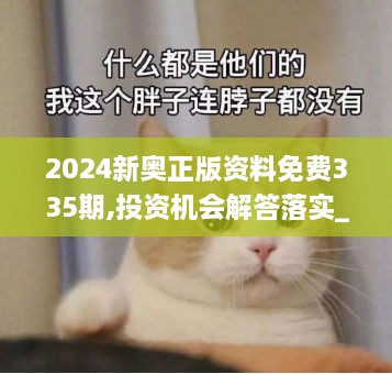 2024新奥正版资料免费335期,投资机会解答落实_PZV4.18.50精简版