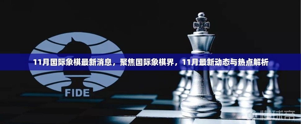 聚焦国际象棋界，11月最新动态与热点解析