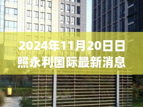 日照永利国际瞩目成就回顾与未来展望，最新动态报告发布（2024年11月20日）