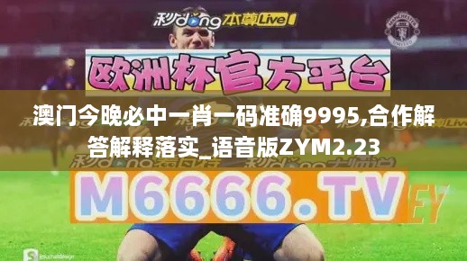 澳门今晚必中一肖一码准确9995,合作解答解释落实_语音版ZYM2.23