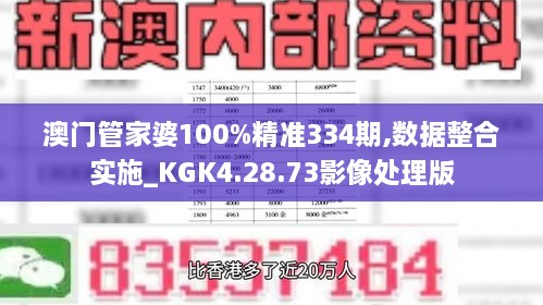 澳门管家婆100%精准334期,数据整合实施_KGK4.28.73影像处理版