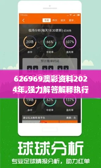 626969澳彩资料2024年,强力解答解释执行_百搭版YRV1.48