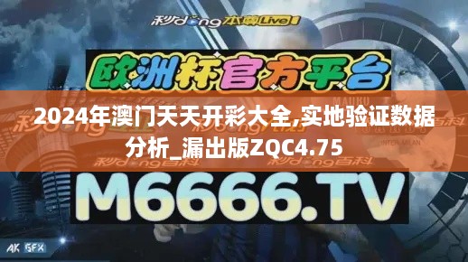 2024年澳门天天开彩大全,实地验证数据分析_漏出版ZQC4.75