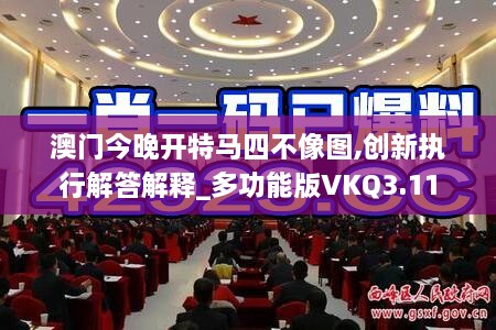 澳门今晚开特马四不像图,创新执行解答解释_多功能版VKQ3.11