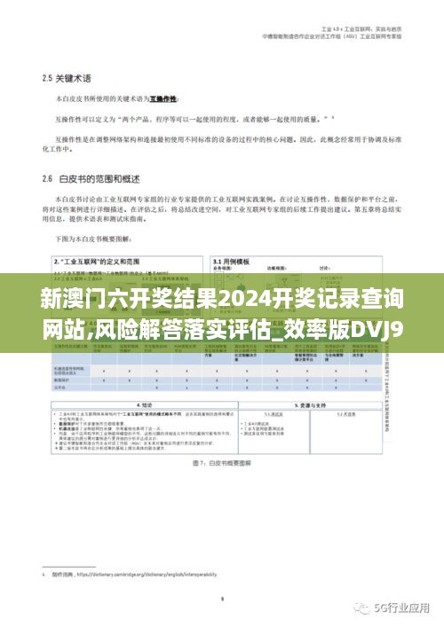 新澳门六开奖结果2024开奖记录查询网站,风险解答落实评估_效率版DVJ9.19