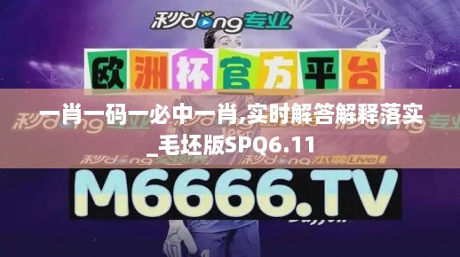 一肖一码一必中一肖,实时解答解释落实_毛坯版SPQ6.11