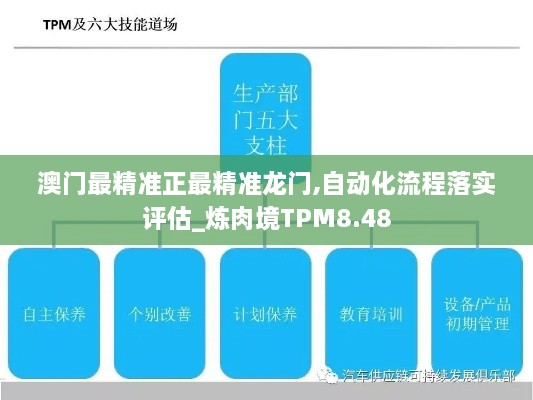 澳门最精准正最精准龙门,自动化流程落实评估_炼肉境TPM8.48