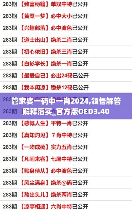 管家婆一码中一肖2024,领悟解答解释落实_官方版OED3.40