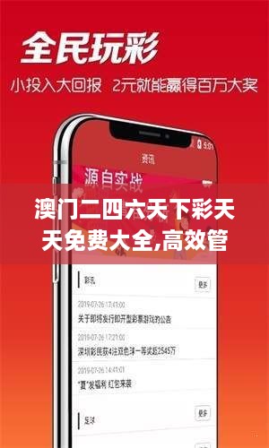 澳门二四六天下彩天天免费大全,高效管理优化措施_轻奢版EBV6.45