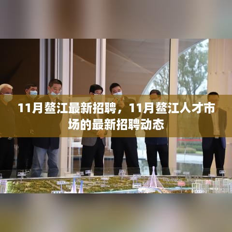 11月鳌江最新招聘，11月鳌江人才市场的最新招聘动态