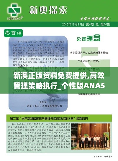 新澳正版资料免费提供,高效管理策略执行_个性版ANA5.10