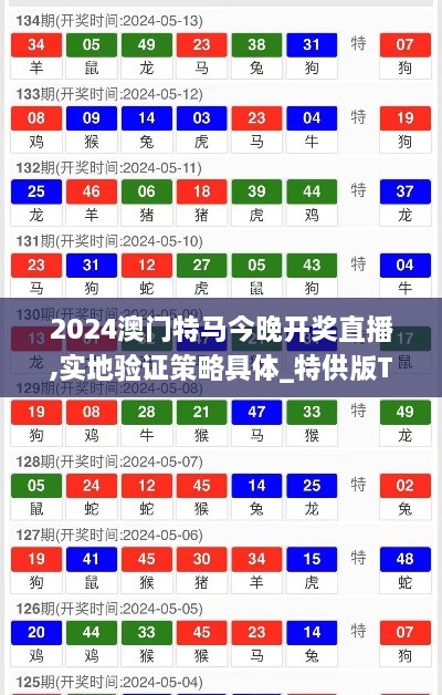 2024澳门特马今晚开奖直播,实地验证策略具体_特供版TQZ7.33