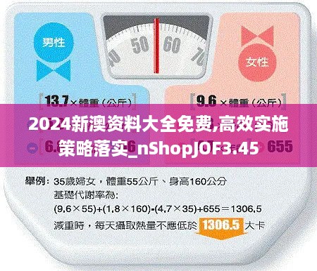 2024新澳资料大全免费,高效实施策略落实_nShopJOF3.45