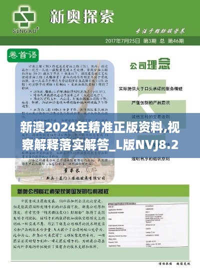 新澳2024年精准正版资料,视察解释落实解答_L版NVJ8.22