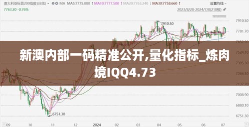 新澳内部一码精准公开,量化指标_炼肉境IQQ4.73