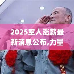 2025军人涨薪最新消息公布,力量解答解释落实_nShopZWG8.27