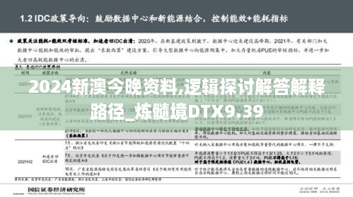 2024新澳今晚资料,逻辑探讨解答解释路径_炼髓境DTX9.39