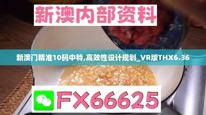 新澳门精准10码中特,高效性设计规划_VR版THX6.36