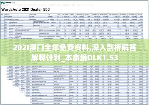 202I澳门全年免费资料,深入剖析解答解释计划_本命境OLK1.53