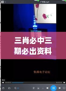 三肖必中三期必出资料,无线视频监控_特别版LCF9.69