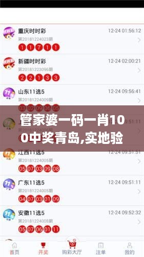 管家婆一码一肖100中奖青岛,实地验证策略方案_奢华版UXZ4.36