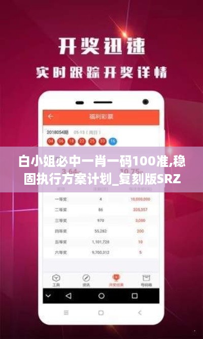 白小姐必中一肖一码100准,稳固执行方案计划_复刻版SRZ3.64