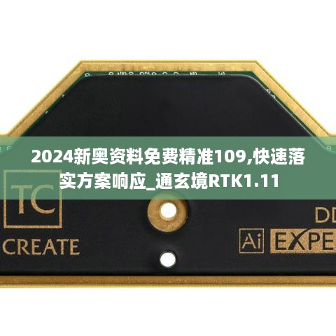 2024新奥资料免费精准109,快速落实方案响应_通玄境RTK1.11