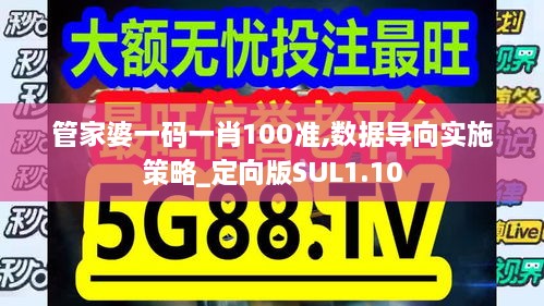 管家婆一码一肖100准,数据导向实施策略_定向版SUL1.10