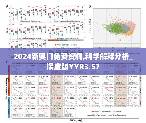 2024新奥门免费资料,科学解释分析_深度版YYR3.57