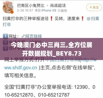 今晚澳门必中三肖三,全方位展开数据规划_BEY8.73