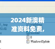 2024新澳精准资料免费,专家解说解释定义_SSZ8.89