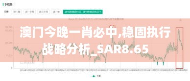 澳门今晚一肖必中,稳固执行战略分析_SAR8.65