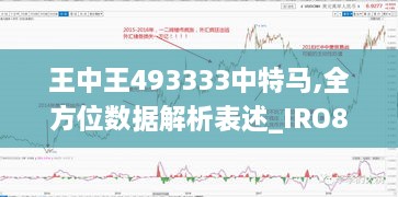 王中王493333中特马,全方位数据解析表述_IRO8.16