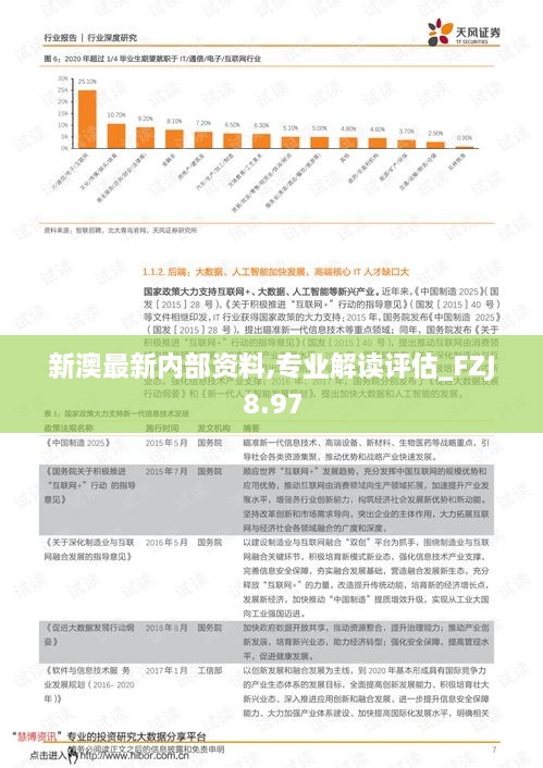 新澳最新内部资料,专业解读评估_FZJ8.97