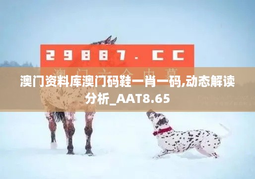 澳门资料库澳门码鞋一肖一码,动态解读分析_AAT8.65