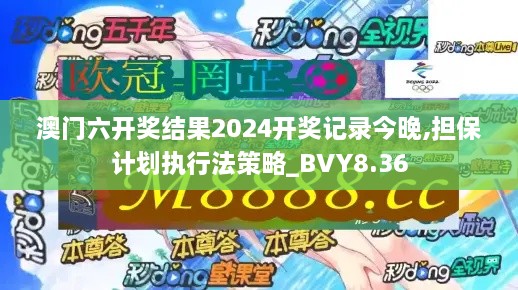 澳门六开奖结果2024开奖记录今晚,担保计划执行法策略_BVY8.36