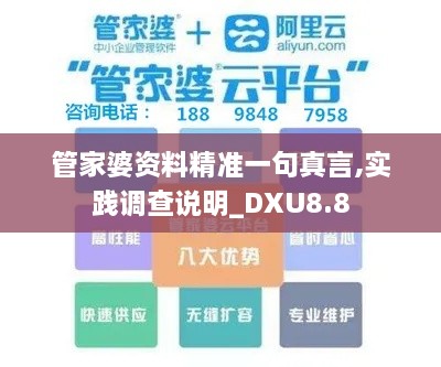 管家婆资料精准一句真言,实践调查说明_DXU8.8