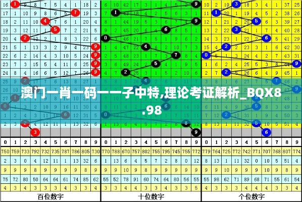 澳门一肖一码一一子中特,理论考证解析_BQX8.98